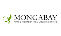 Mongabay - Mongabay offers global environmental news, analysis, and opinion. They aim to inspire and inform conservation and environmental efforts globally.