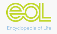 Encylopedia of Life - Encyclopedia of Life is an online reference database of all living species. It provides information, photos, and sources for millions of species around the world.