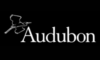 Audubon - The National Audubon Society is dedicated to the conservation and protection of birds and their habitats. Their website, Audubon.org, offers bird guides, conservation efforts, and details about their advocacy work.